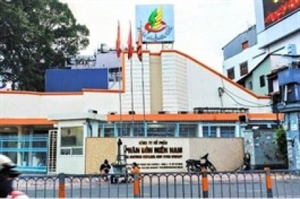 Không công bố thông tin, SFG bị xử phạt 85 triệu đồng